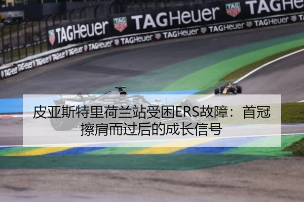 pi-ya-si-te-li-he-lan-zhan-shou-kun-gu-zhang-shou-guan-ca-jian-er-guo-hou-de-cheng-zhang-xin-hao-2-492.jpg